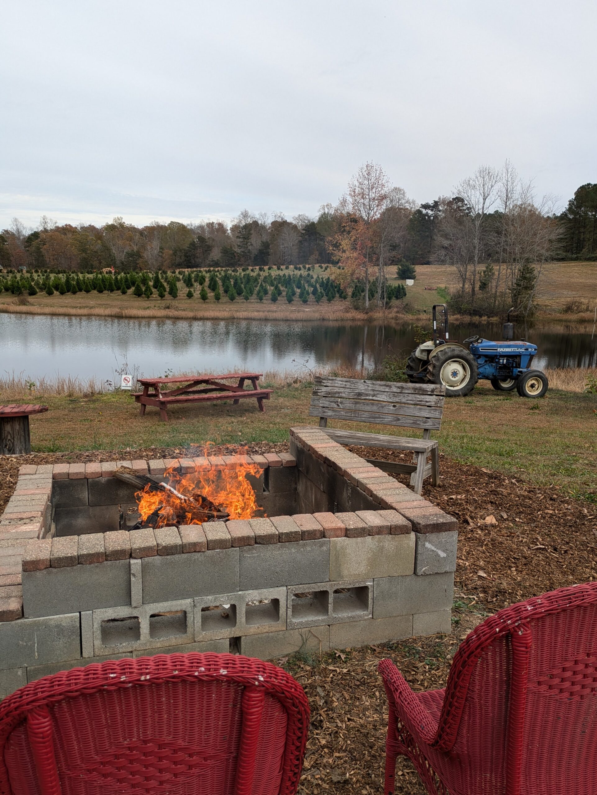 Fire Pit fire pit at the christmas tree farm